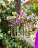 Vaso Cinco Pontas M em Vidro - 22 x 18 cm