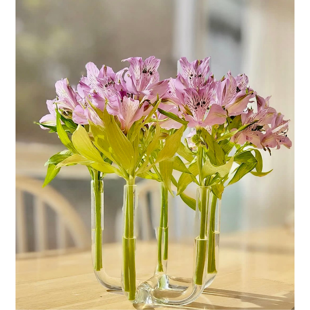 Vaso Cinco Pontas Tubo P