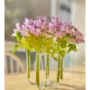 Vaso Cinco Pontas Tubo P