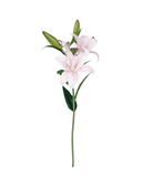 Bouquet de Lírio Champagne - 68cm