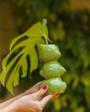 Conjunto de 6 Mini Vasinhos de Frutas em Cerâmica - Dolce Vita- Pré Venda 10 dias úteis