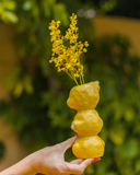 Conjunto de 6 Mini Vasinhos de Frutas em Cerâmica - Dolce Vita- Pré Venda 10 dias úteis