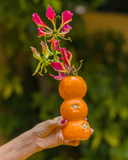 Conjunto de 6 Mini Vasinhos de Frutas em Cerâmica - Dolce Vita- Pré Venda 10 dias úteis