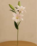 Bouquet de Lírio Champagne - 68cm