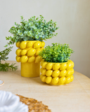 Vaso Full Lemon - Grande